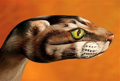 Kliknutím zobrazíte větší formát - handpainting - kočka 2