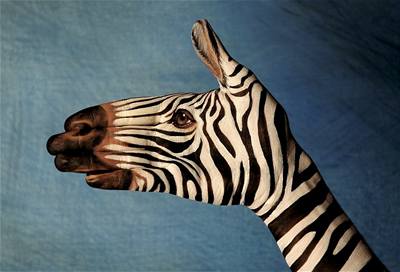 Kliknutím zobrazíte větší formát - handpainting - zebra