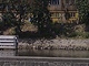 �tvanice - kv�ten 2011